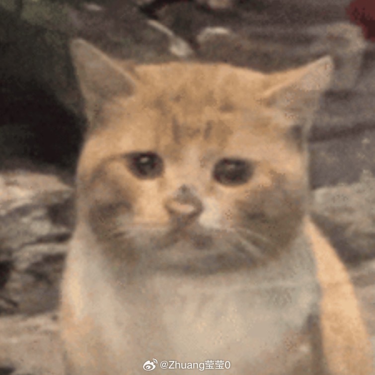 恰逢雨连天 陈瑶谁懂看最新期我家那闺女陈瑶part给我一整个爆哭，陈瑶好像天生会