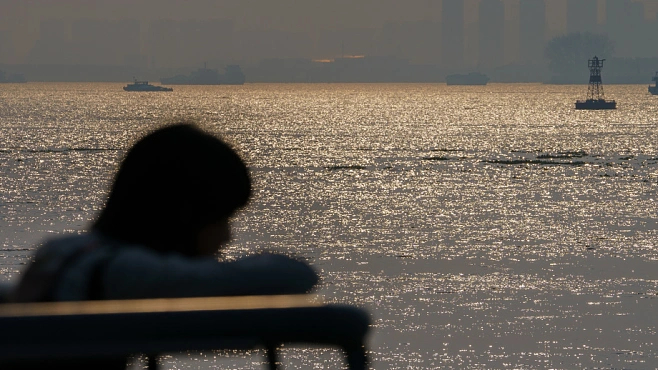 谁不是把自由卖了，换成了柴米油盐。人间非净土，各有各的苦。 ​​​