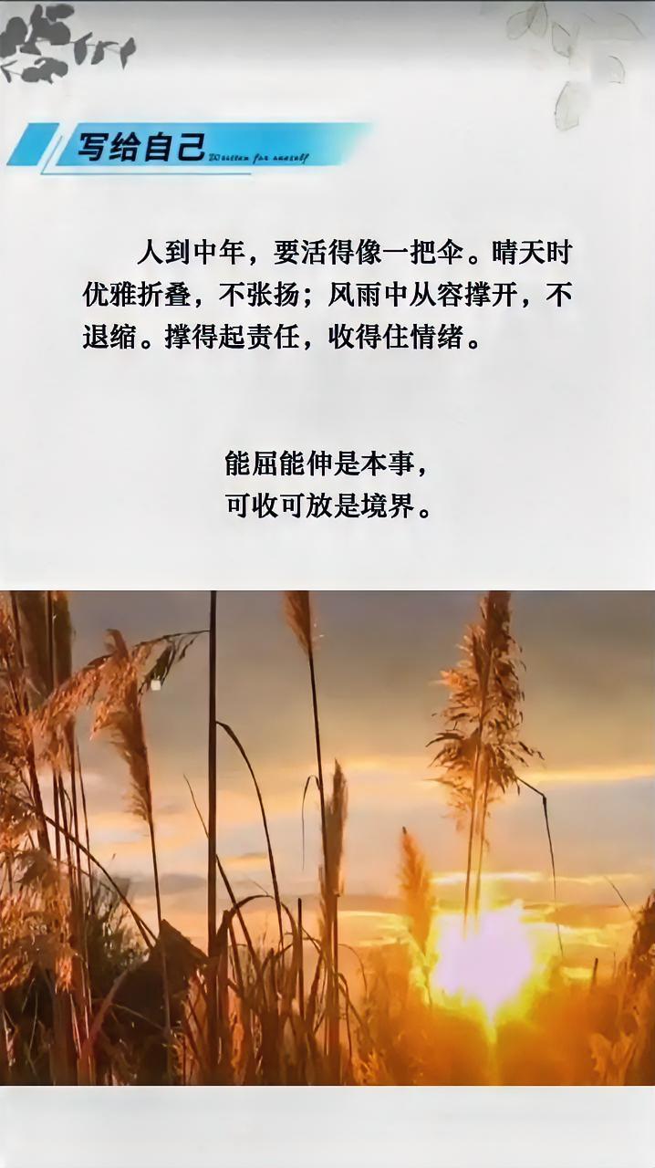 终于知道为什么年龄越大，
越喜欢喝茶饮酒了。
因为喝茶是一个人的狂欢，
喝酒是一