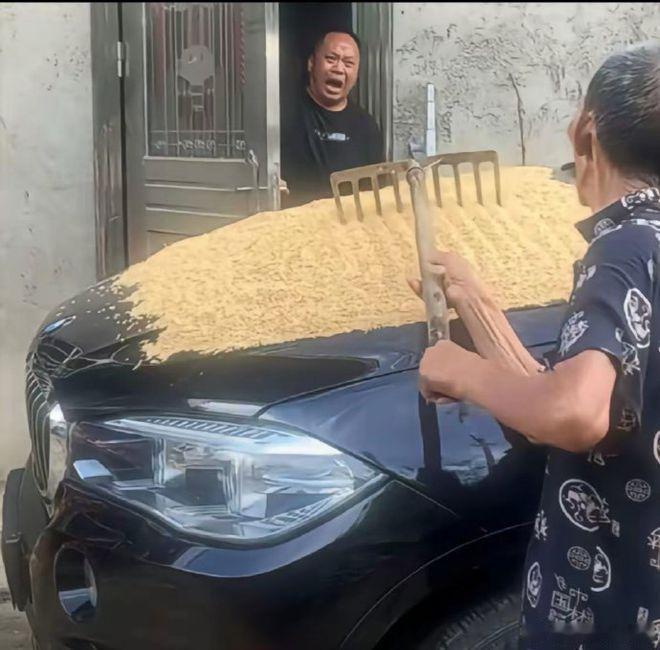 看父亲一把年纪了还在晒稻，心酸的叫出来了声！ 
