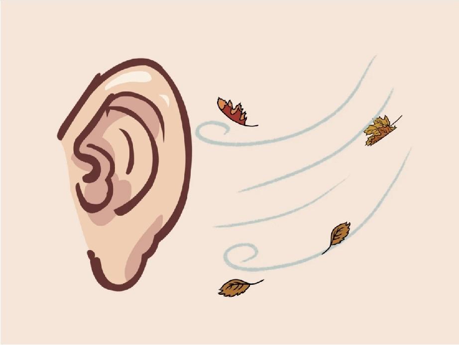 耳朵配秋风落叶，这个成语藏得太巧妙！你能一眼猜中吗？