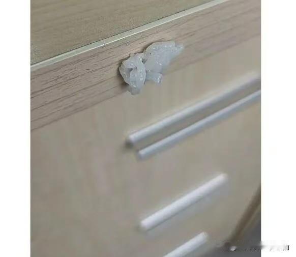 这是啥，这是什么动物的卵嘛