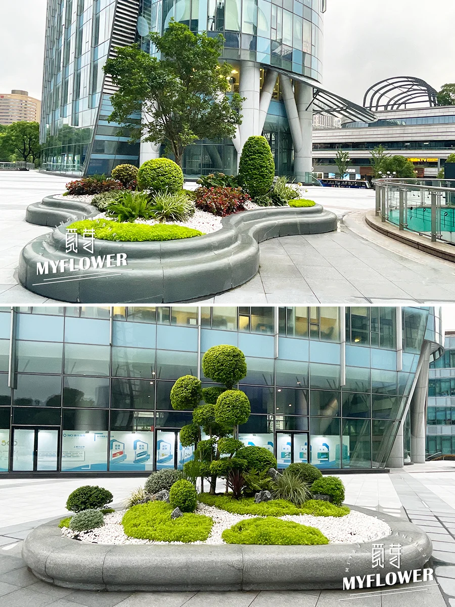 商业街花池花境植物搭配｜低维护高颜值