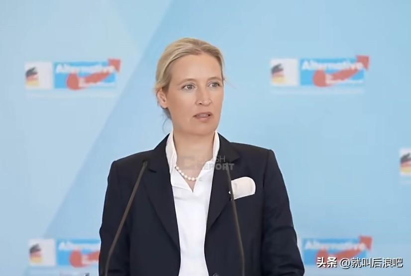 爱丽丝·魏德尔表示，坚决反对德国介入霍尔木兹海峡局势，她认为即便是实力最强的美国