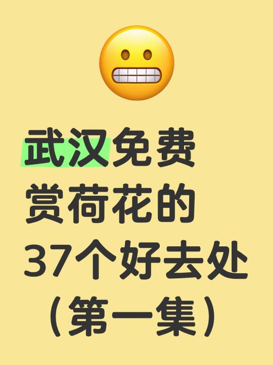 武汉免费赏荷花的37个好去处（第一集）