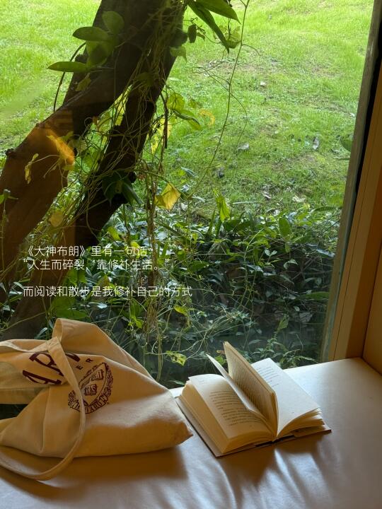 阅读和散步是我情绪稳定的解药。