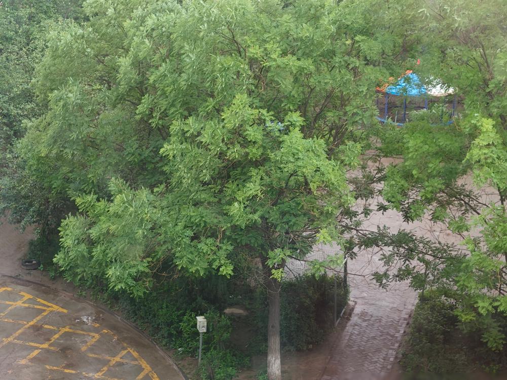 中国女排的名单，就是个名利场，残酷得不带一点人情味。

主角，陈厚羽。

去年，