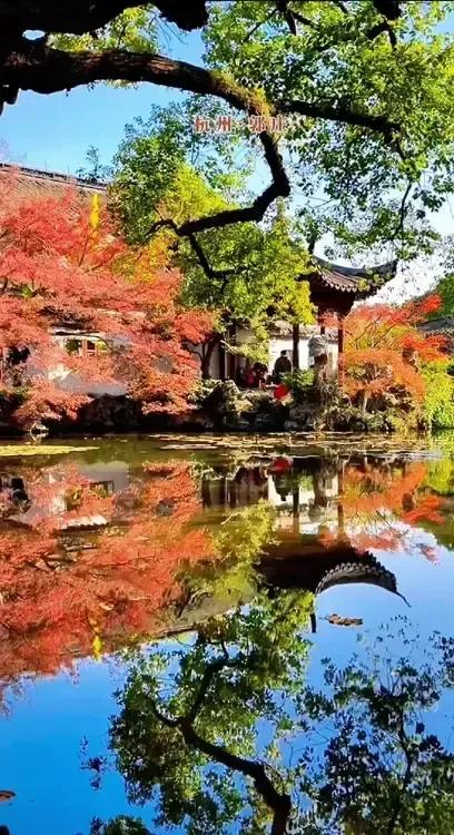 红叶映湖光，古寺秋色长。秋景共享 美丽的枫景 秋景美如画卷 秋景秋意共享 公园秋