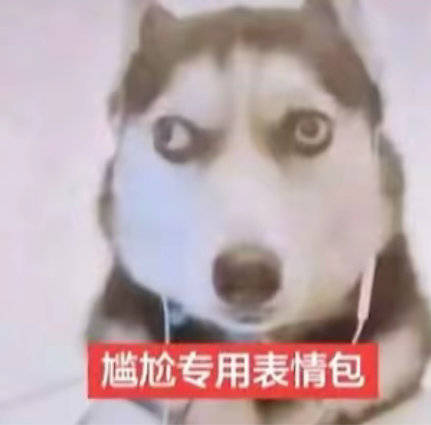 分享图片 