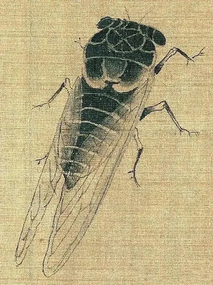 一千多年前，古代画师黄荃画的知了图！现代人对知了早已经没有特殊的感情了。不过在古