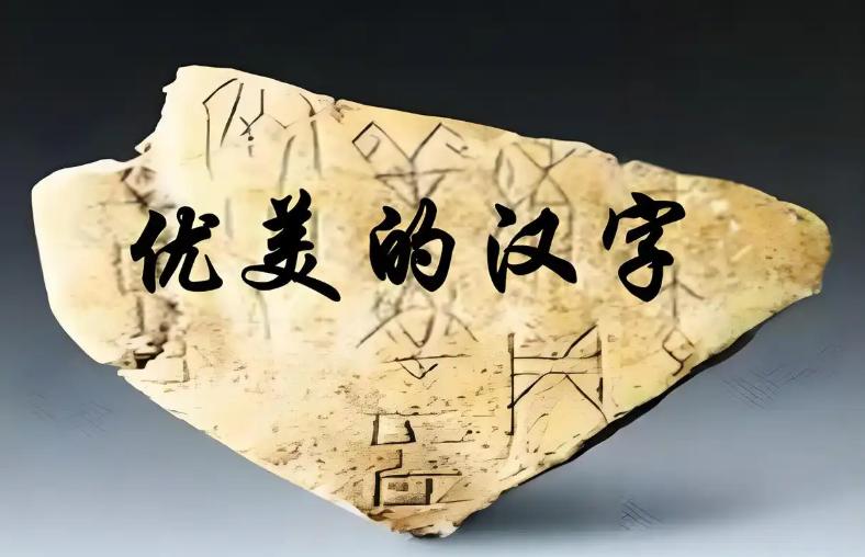 汉字藏韵
汉字作为中华优秀传统文化的重要载体，其魅力藏在每一个笔画与结构之中，背