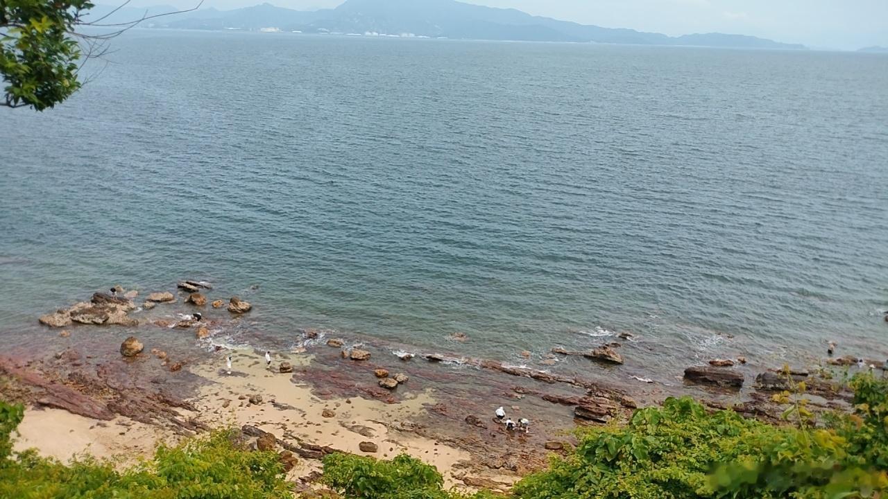 手机拍不出来美 