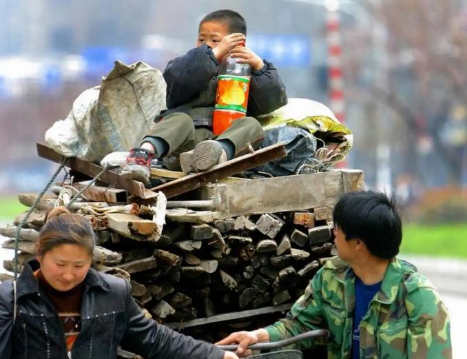 2000年，浙江嘉兴一处桥底住着两口子，挤在里头熬了10年，养了4个娃，整天跟耗