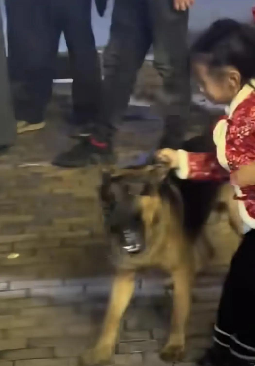 这两天刷到一条特别有意思的视频，在湖南，两只狗狗在街上不知道为啥突然打起来了，互