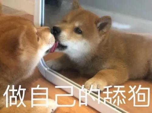#成年人现在流行重养自己#现在这个快节奏、高压力的社会，成年人们又要工作，又要顾