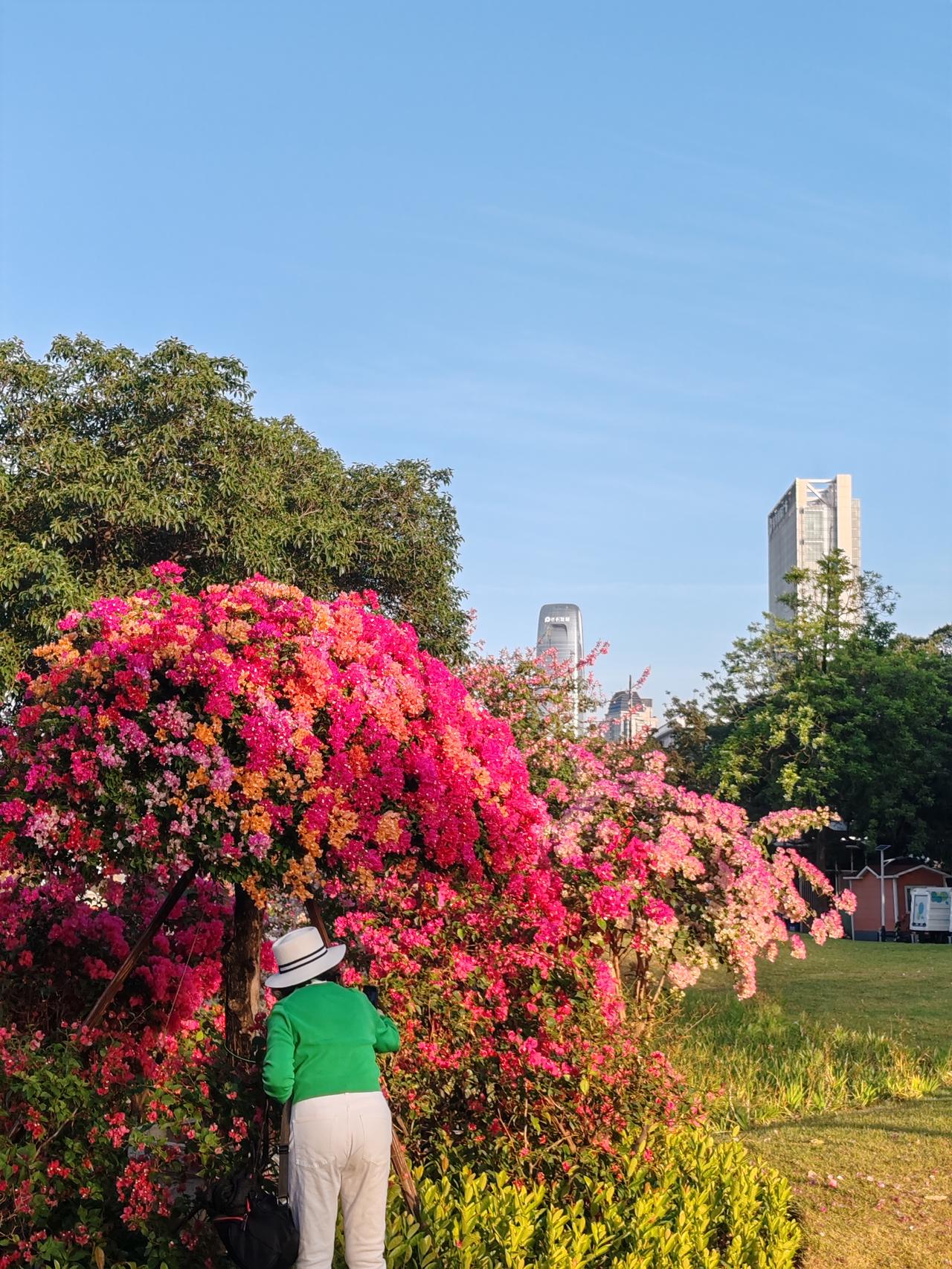 有没有漂亮的花朵图片吗