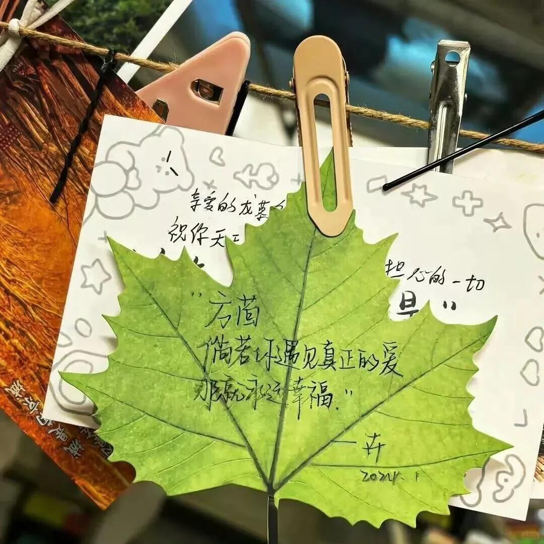 𝐒𝐇𝐀𝐑𝐄｜绿色系小众背景图 🍃 