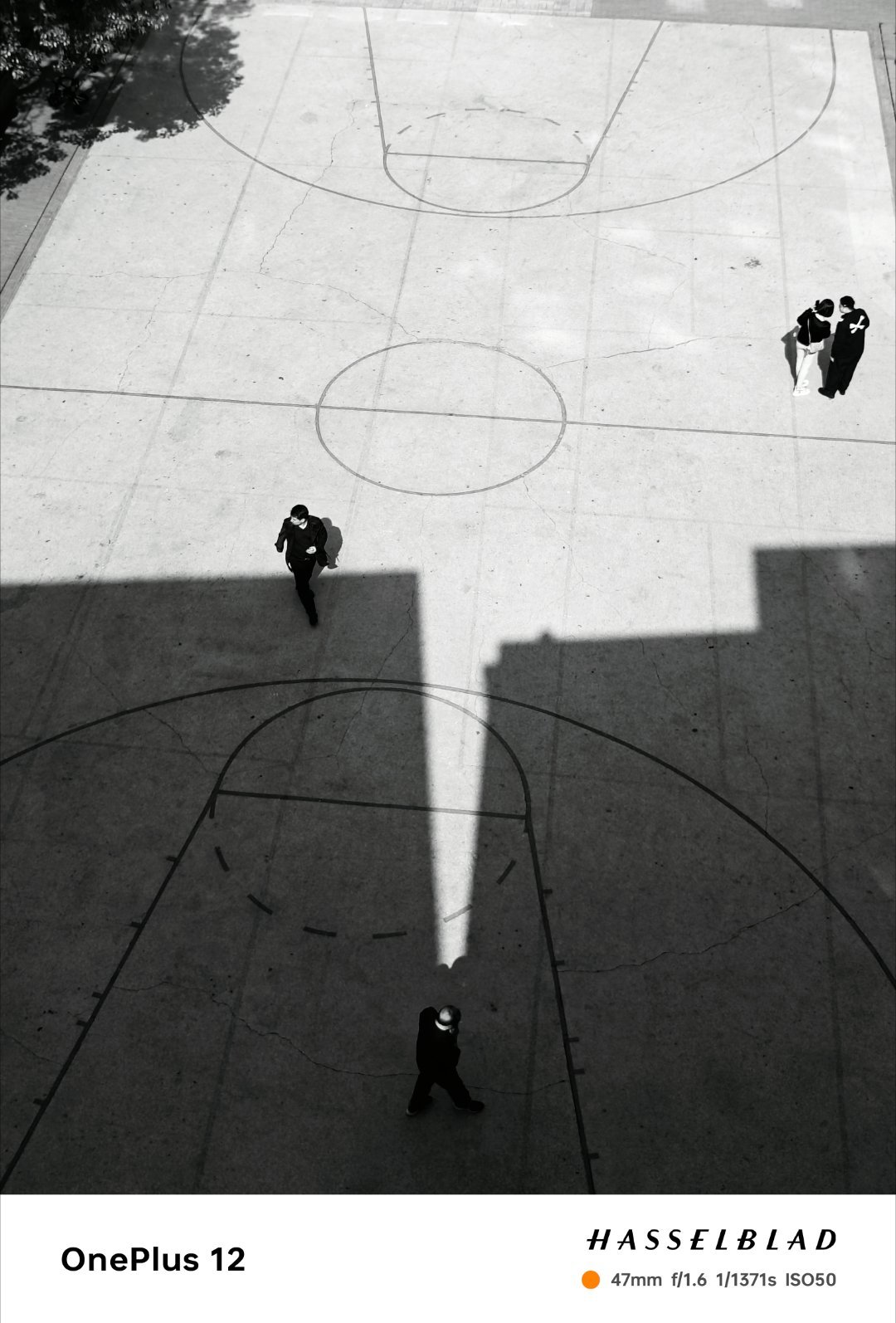 光影交错的瞬间光影的变化让这片平凡的篮球场焕发出独特的魅力。行人的步伐、建筑的轮