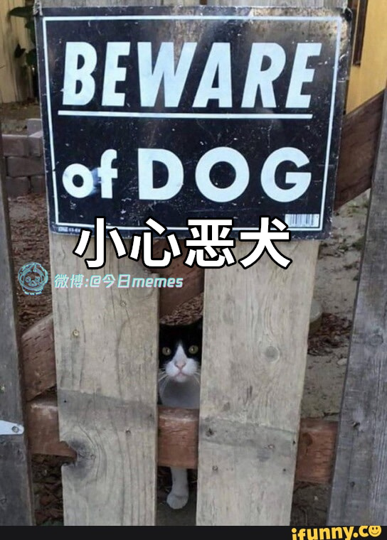 阿萨辛见过吗 ​​​