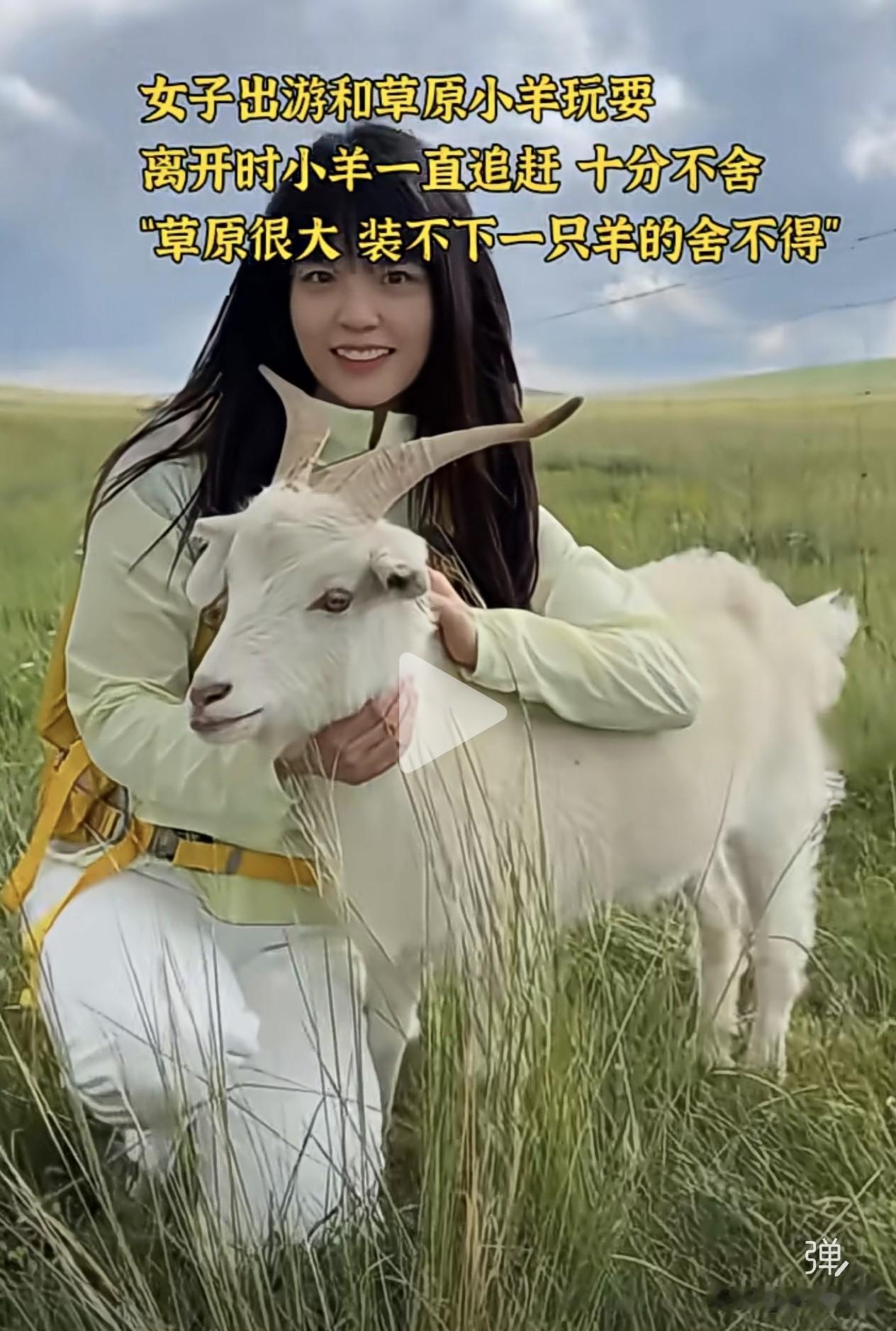 这个姑娘和小羊的故事，这两天全网刷屏了…

这个姑娘和小羊的故事，让我又想起了“