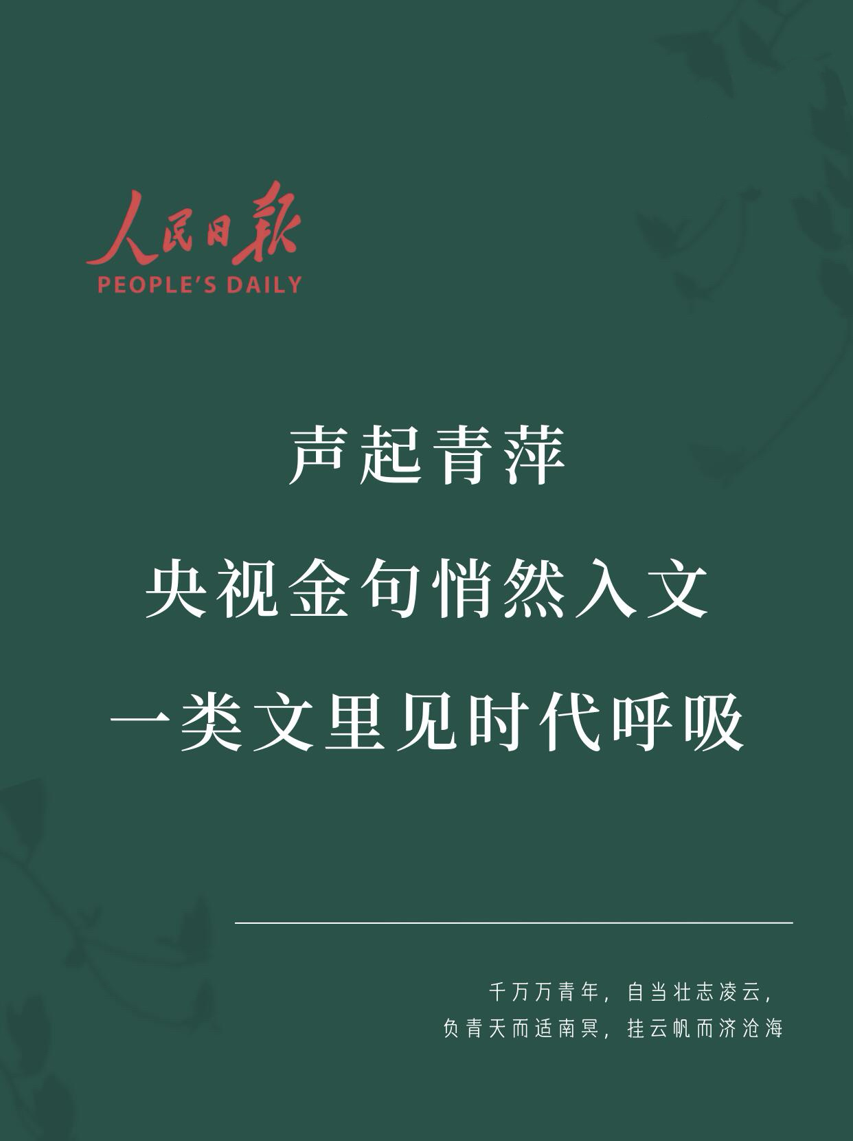 央视金句悄然入文 