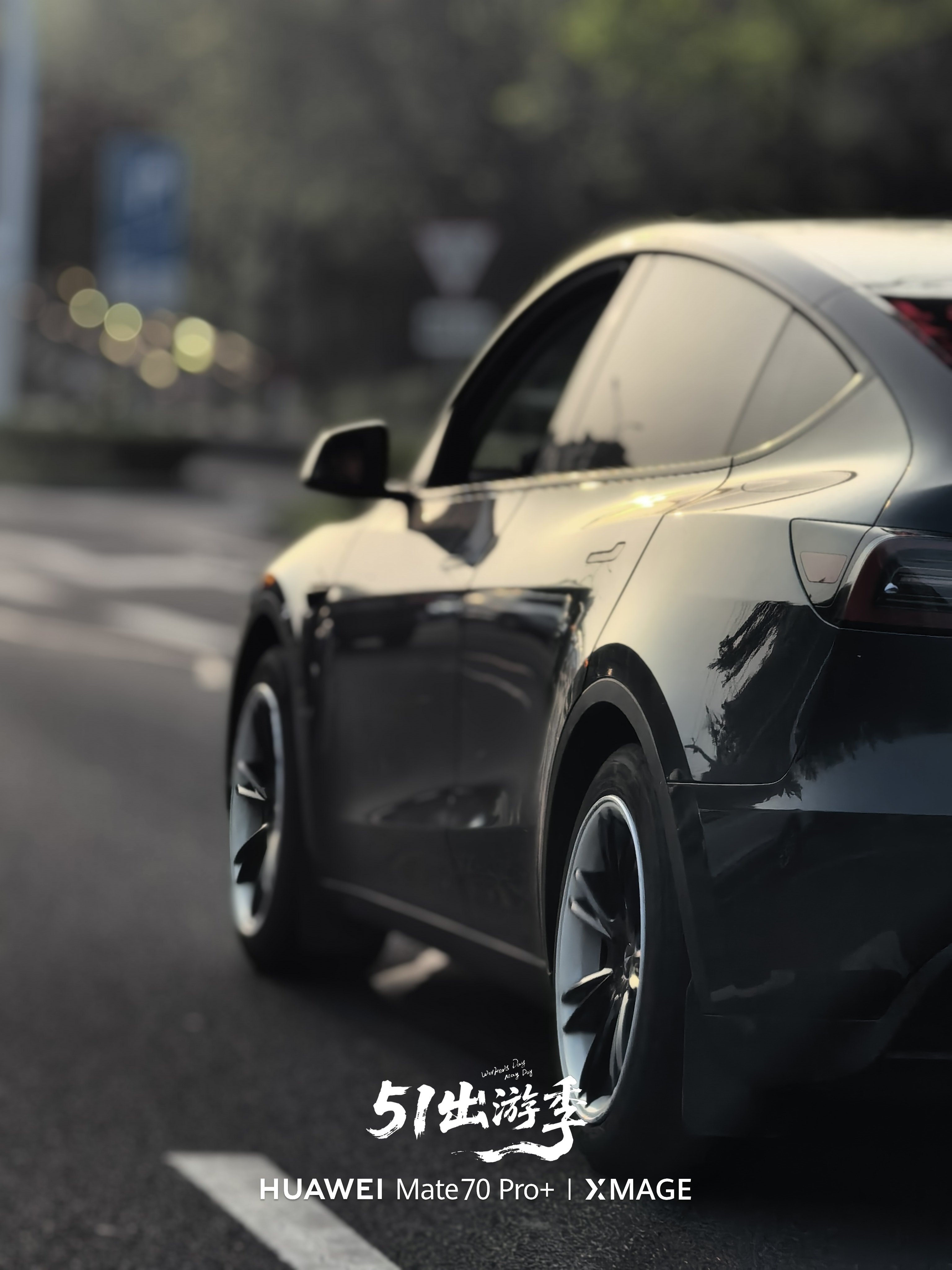 古德猫宁～都开始搬砖了吗？ 