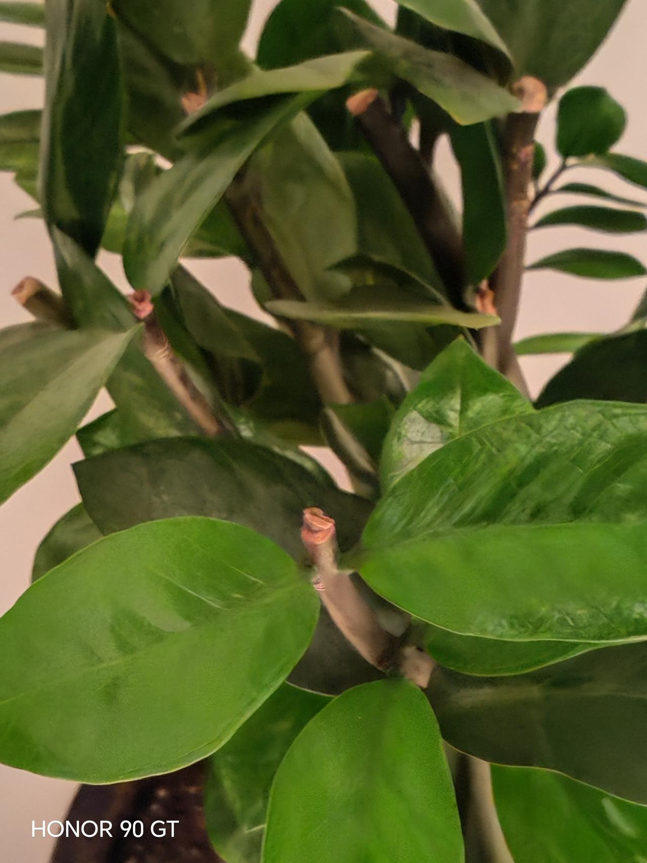 春天花会开，
快乐每一天。