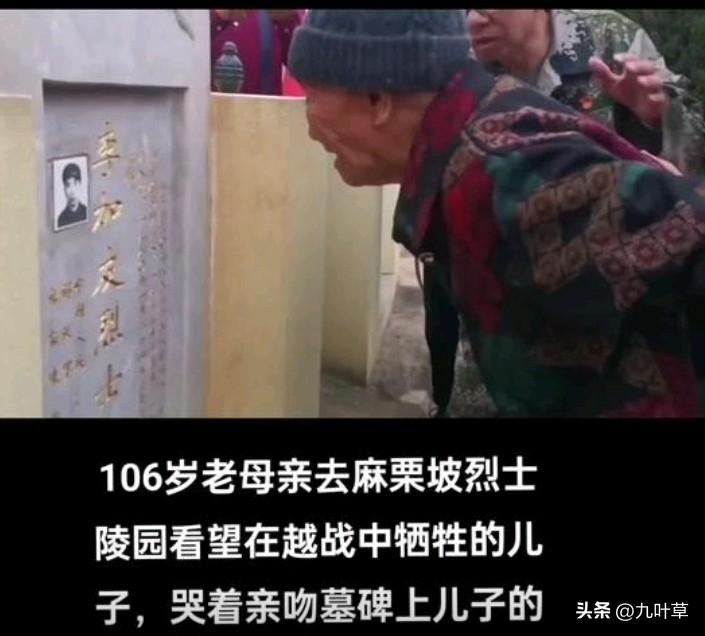 跨越41年的深情一吻，儿啊，娘最后一次看你了！106岁的老母亲在麻栗坡烈士陵园最