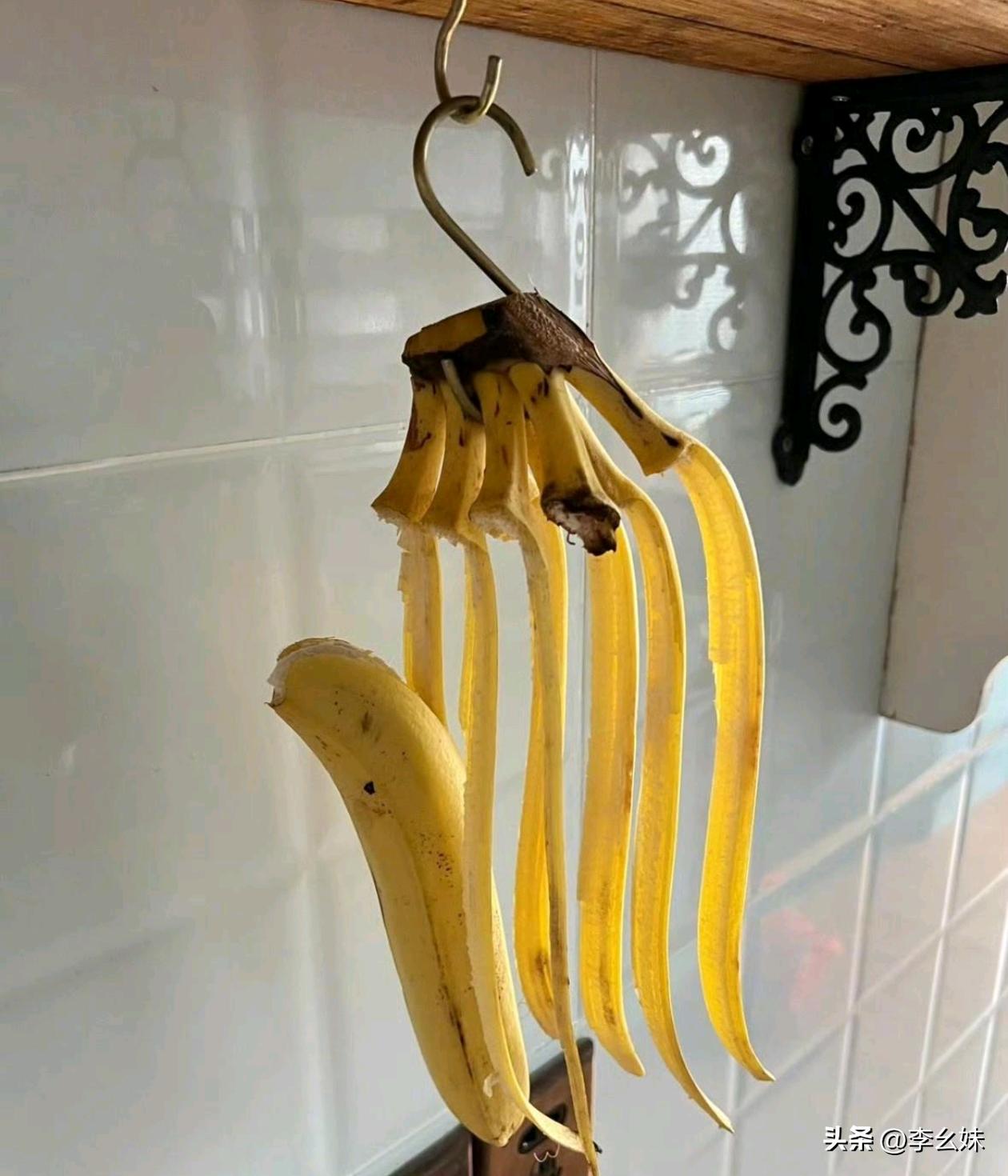 谁说香蕉挂起来不容易坏的