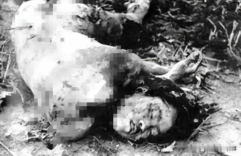 1943年，刘耀梅，被日军杀害后留下的镜头，这一张照片是由八路军战地记者叶曼之拍