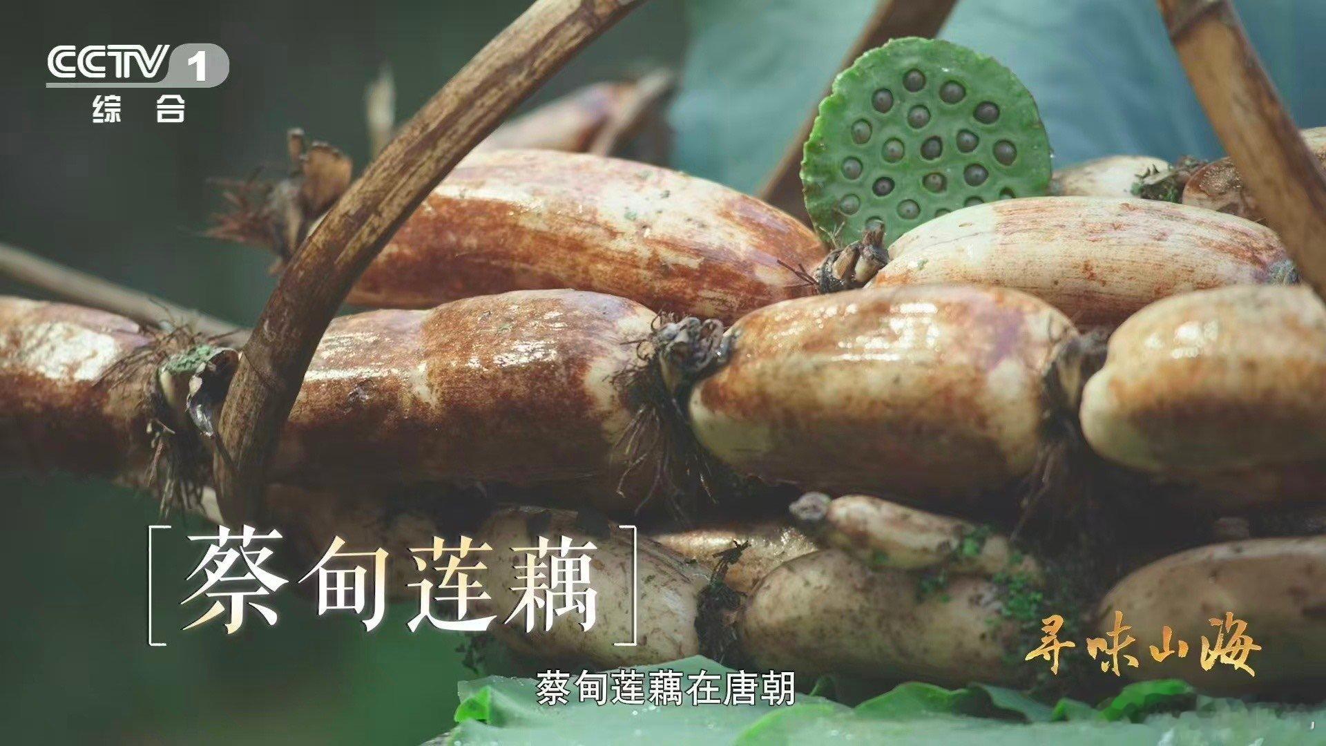 湖北有世界第一长莲藕 千年藕乡蔡甸再创奇迹！一根3.473米的莲藕破土而出，刷新