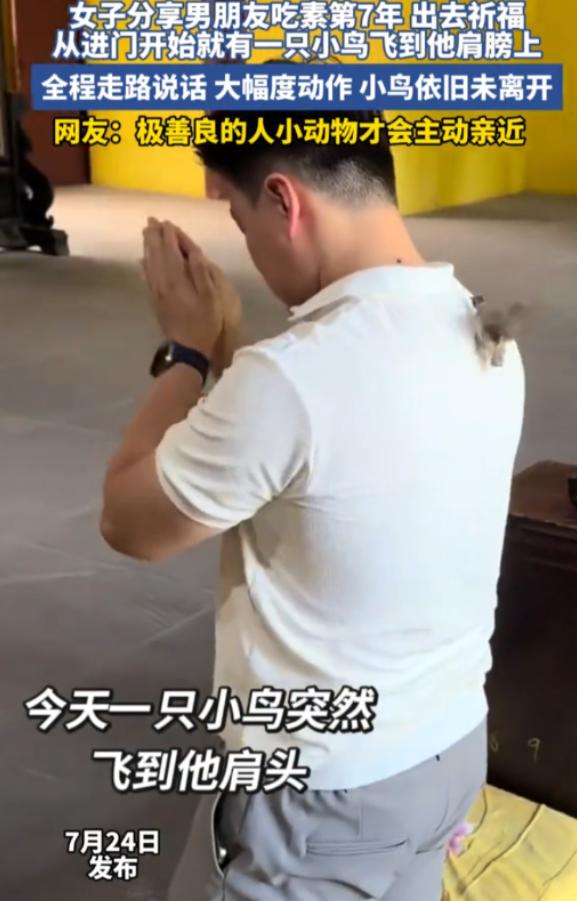 吃素七年的男人去寺庙还愿，一只鸟竟然赖在他身上不走了。

这事发生在成都龙泉山的