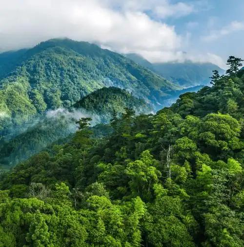 上联：天有日月星辰，诚邀下联地生草木山川