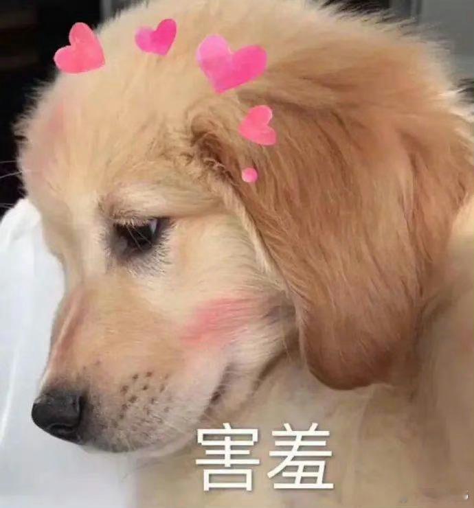探险大v称卖房是为了买活着的感觉 一时心动奔赴航海梦想，路上却不断自我怀疑，恶劣