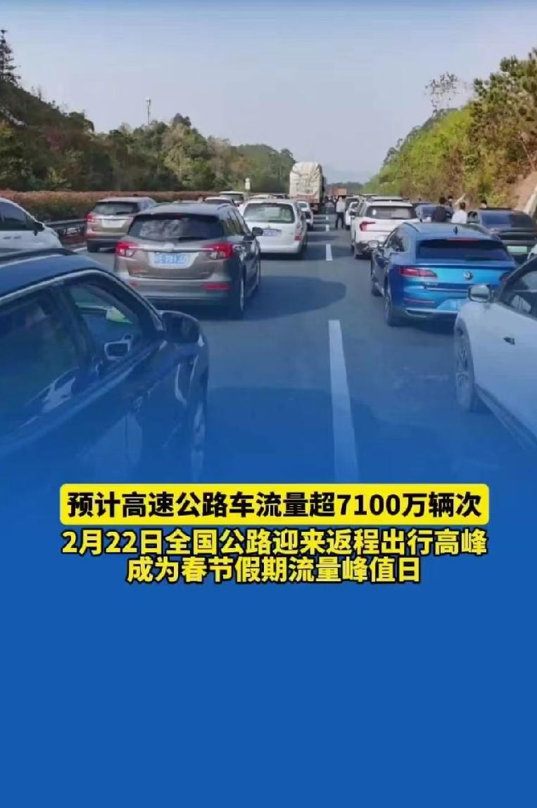 凌晨一点的京港澳高速，车灯连成一条喘不过气的长龙，导航上红得发黑。

大伙儿都想