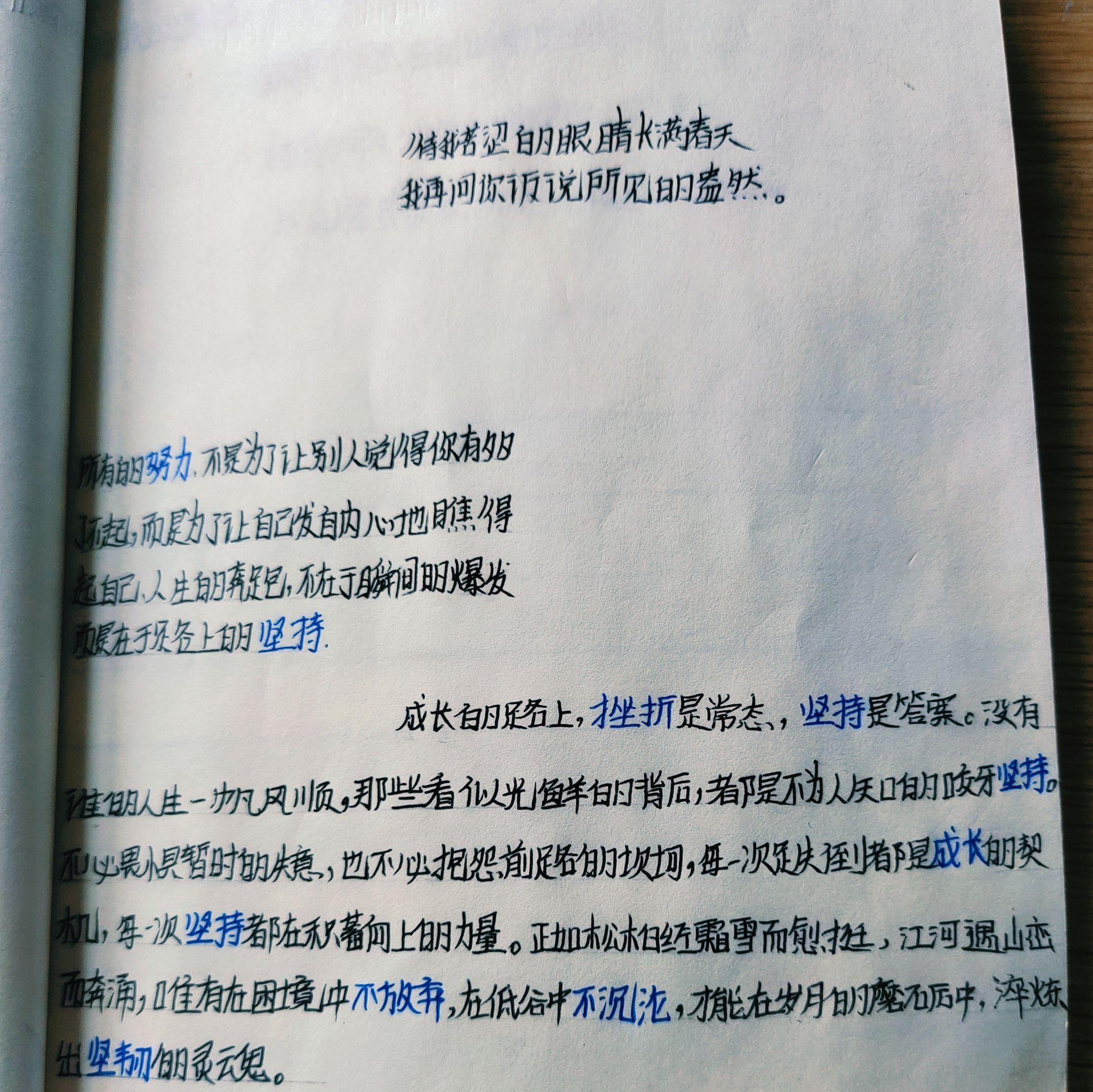 以坚持为笔，绘青春华章。所有的努力，从来不是为了向旁人证明自己的出众...