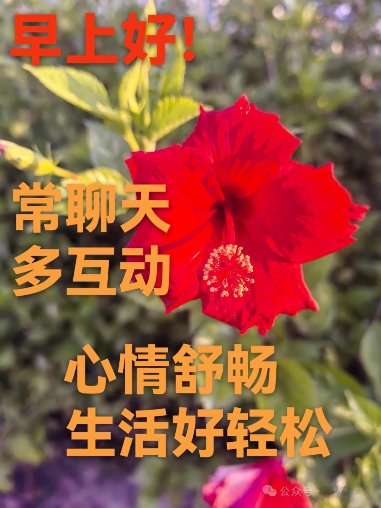 你小时候拔过草吗拔过啊，我从小生长在农村，拨过地里的野草，也拔过山里的猪草[捂脸