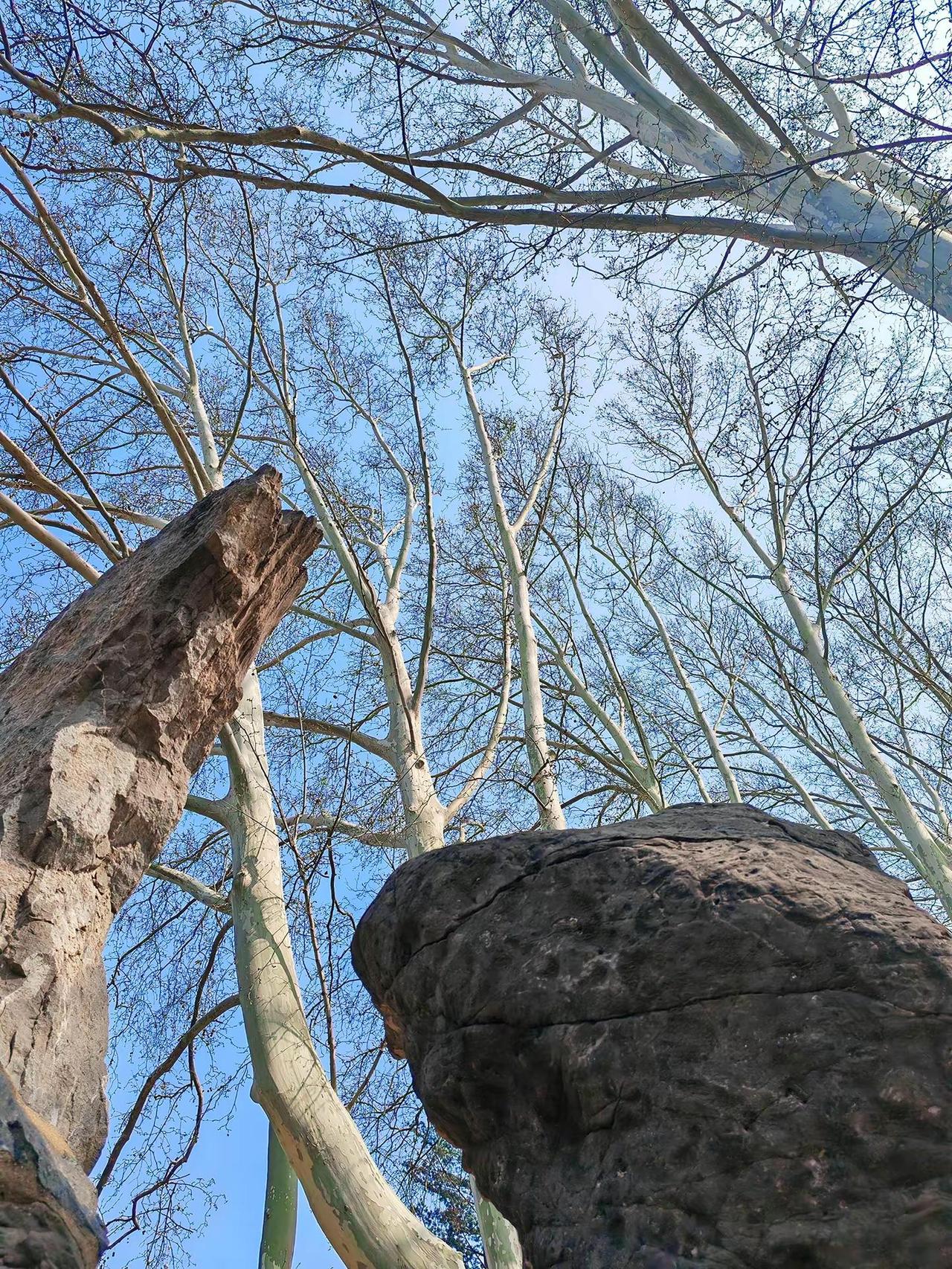 图文热点来了 我的随手拍 治愈系风景 最美的风景在路上 随手拍