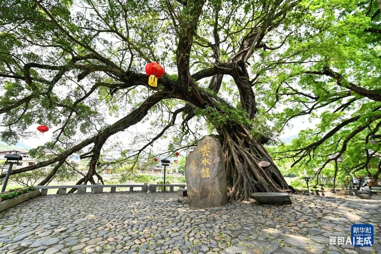 每日一图随手拍