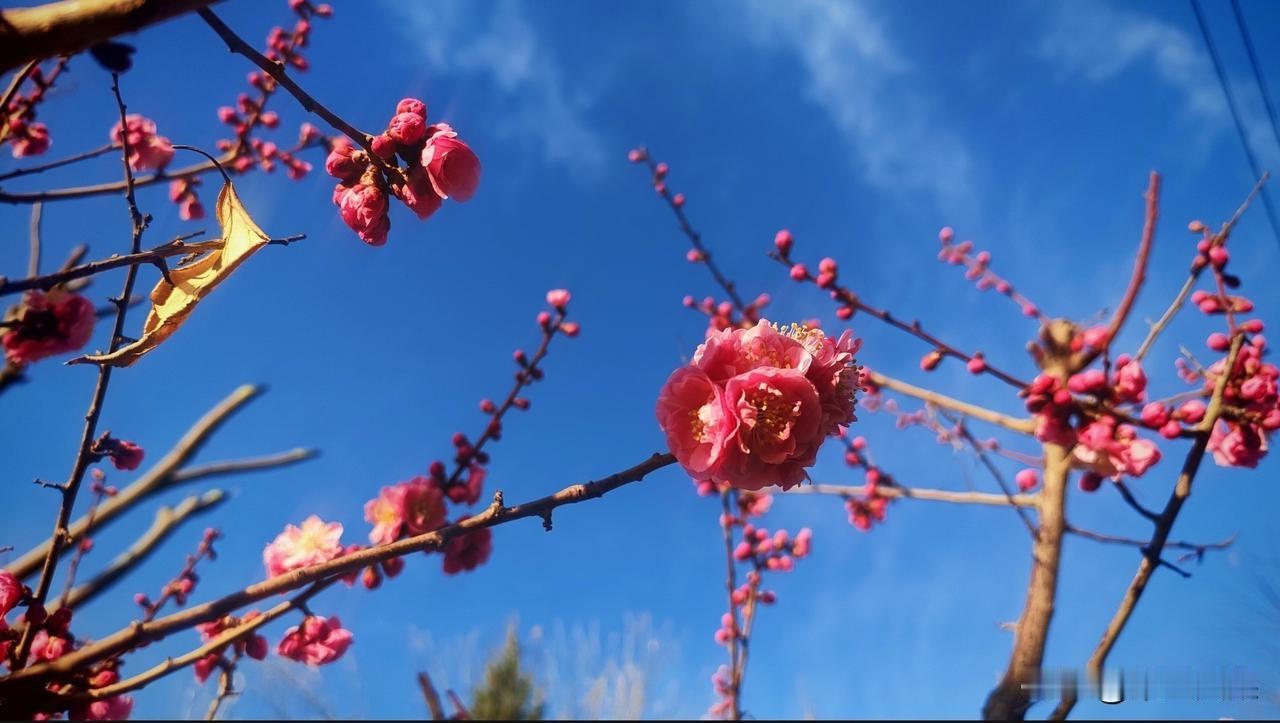 雪压沙尘阴霾散
风吹大地万物春