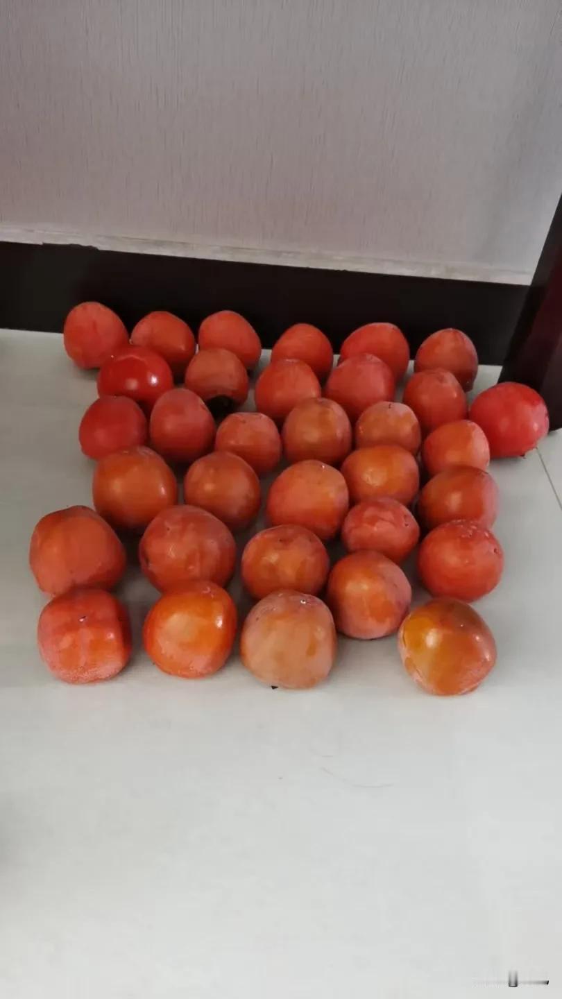 奶奶把秋果给了我
我又把秋色分享给好友
村里房前屋后都种柿子
柿子多了就成了村景