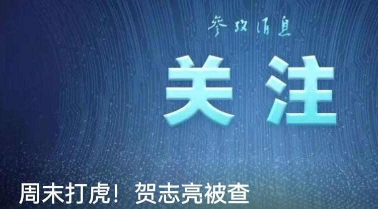 反腐永远在路上。发现没有？最近几乎天天都有～大小老虎自首和落网的消息！一个个都被