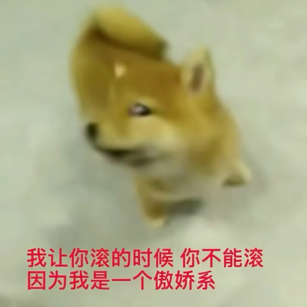 有人想我了吗 ​​​