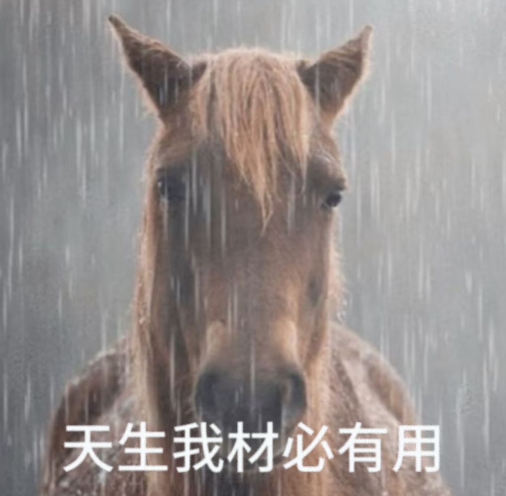 每天一条冷知识 马的血还可以救人命，马体型大血液多、与人类的共患病比较少、对蛇毒