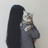 小鲤吹汽车