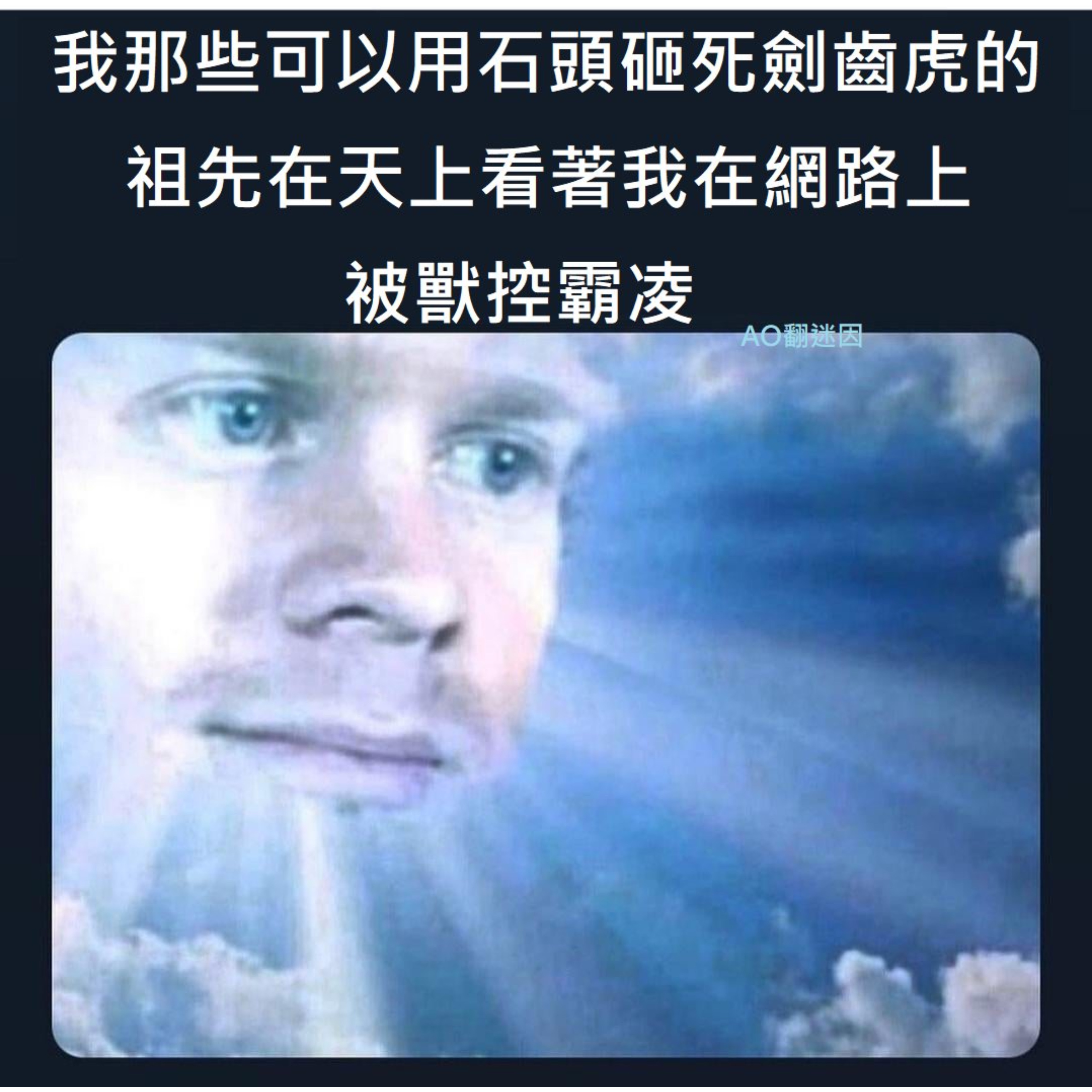 玩挺花嗷memes