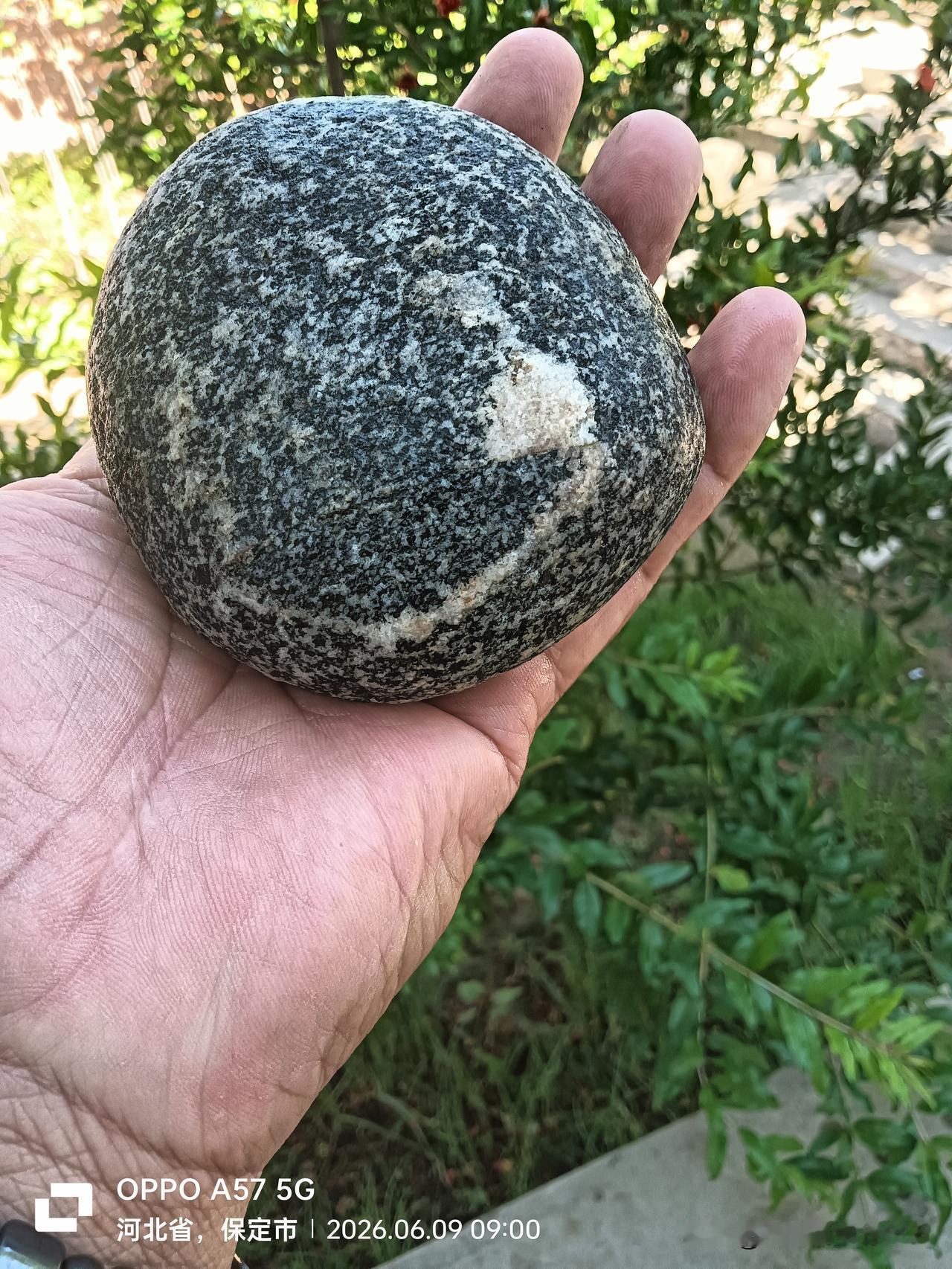 精品奇石---龍人