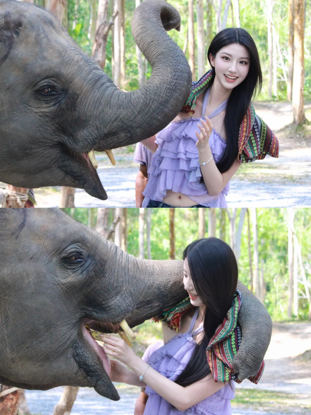 🐘大象～大象⸝⸝っ·̫ •⸝⸝～