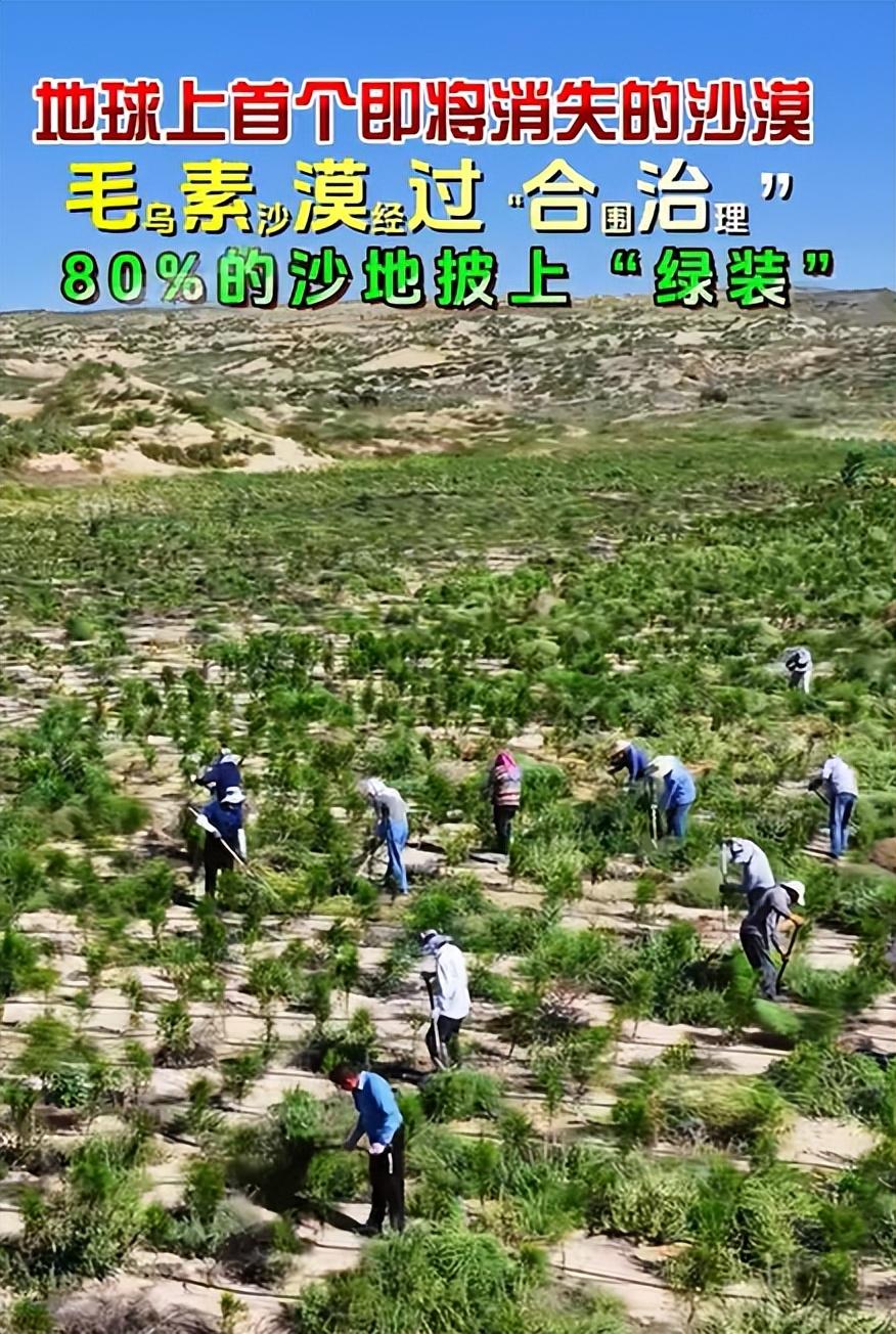 非科班出身创作者的三部曲：原以为只是一部好作品，后来的后来，发现，这是祥瑞
关于