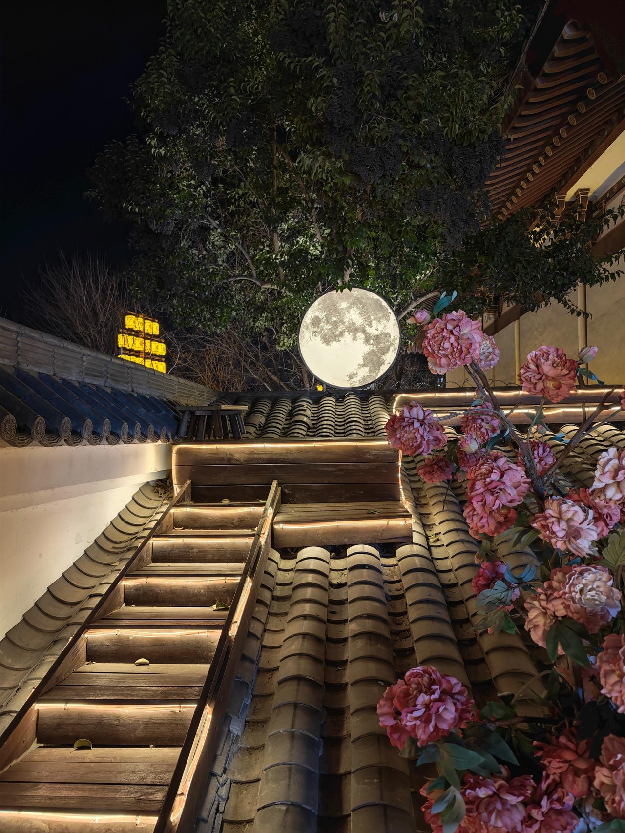 冬日生活打卡季